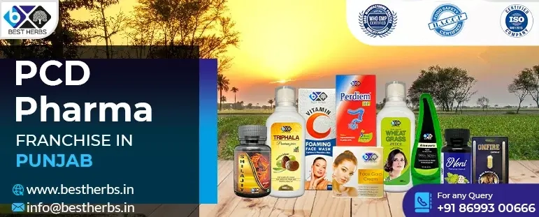PCD Pharma Franchise In Punjab